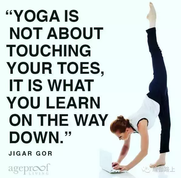 20 句话，照亮你的瑜伽之路……