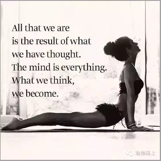 20 句话，照亮你的瑜伽之路……