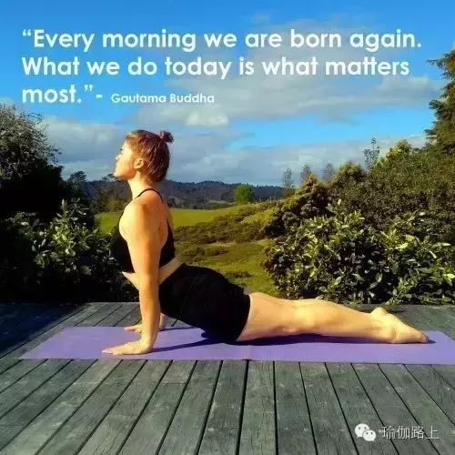 20 句话，照亮你的瑜伽之路……
