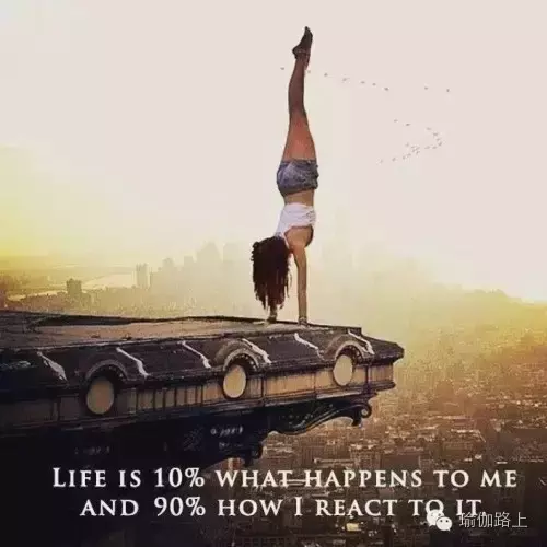 20 句话，照亮你的瑜伽之路……