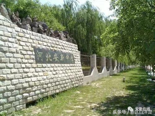 备战雄安马拉松——安新跑团快乐约跑，轻松备战！