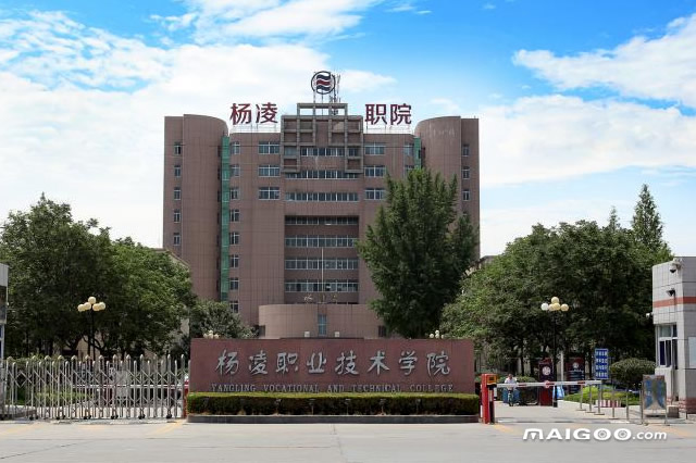 陕西十大专科学校排名 陕西十大高职院校 陕西最好的十大专科院校