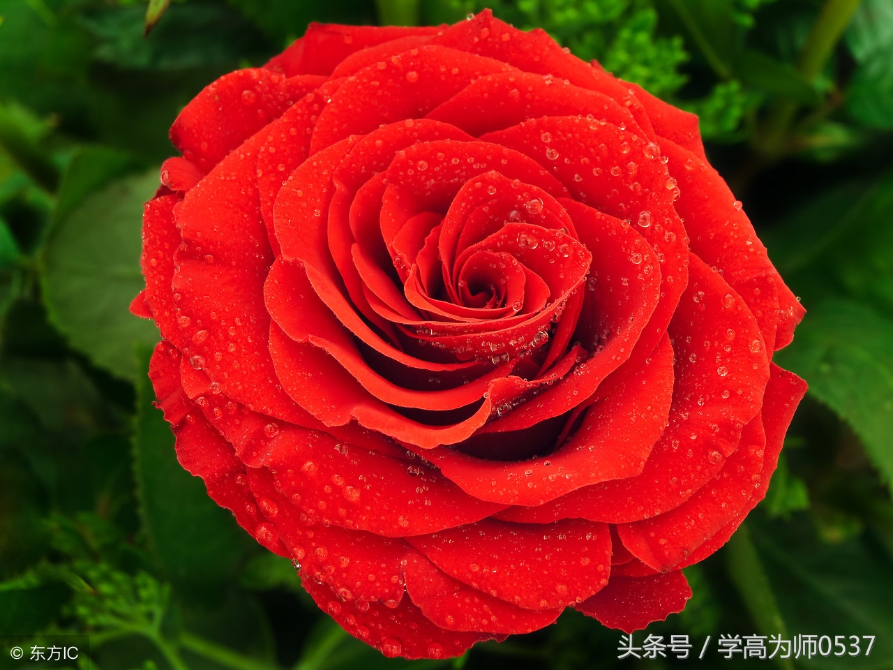 小学一年级语文上册词语大全 建议家长替孩子收藏