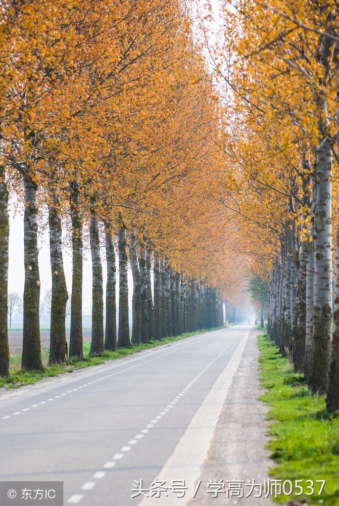 小学一年级语文上册词语大全 建议家长替孩子收藏