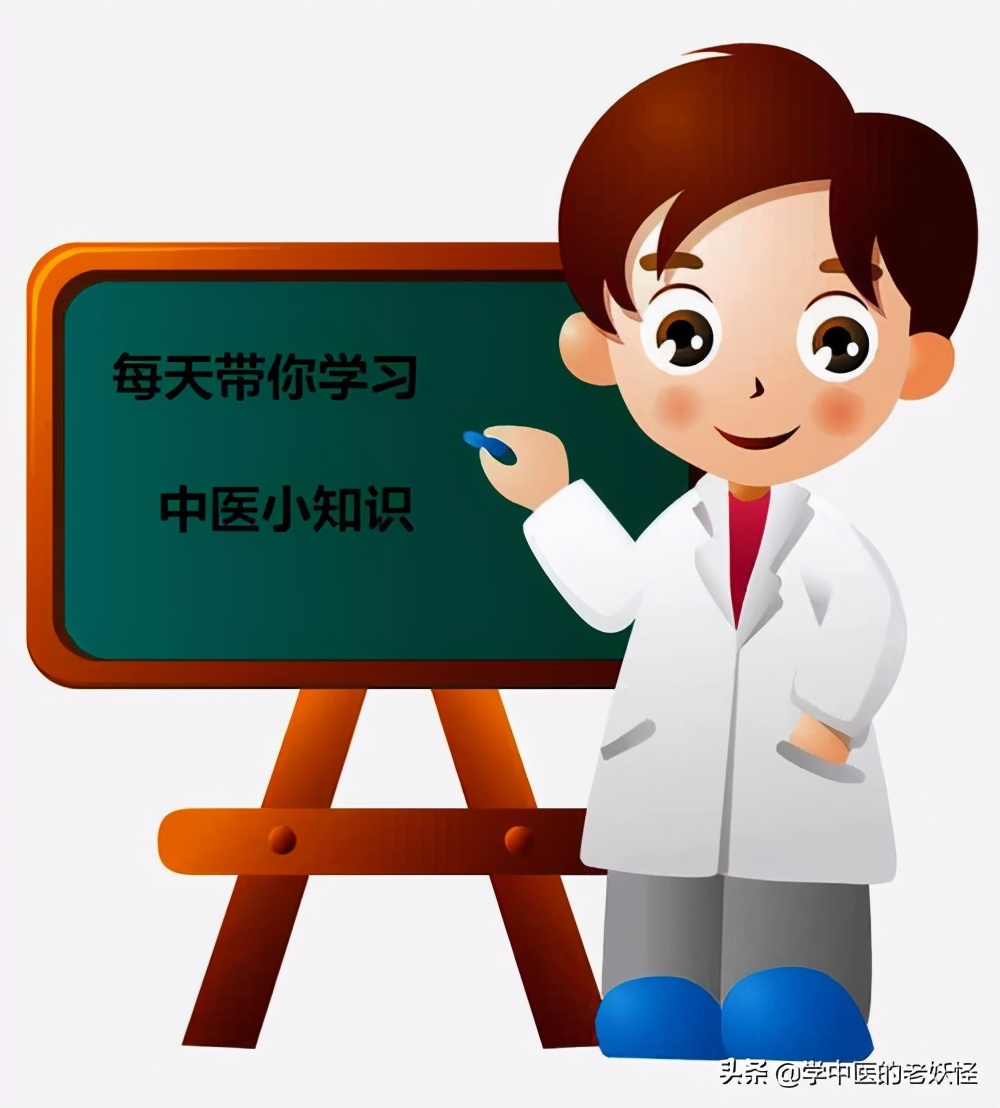 絲瓜絡是什么,絲瓜絡是什么東西