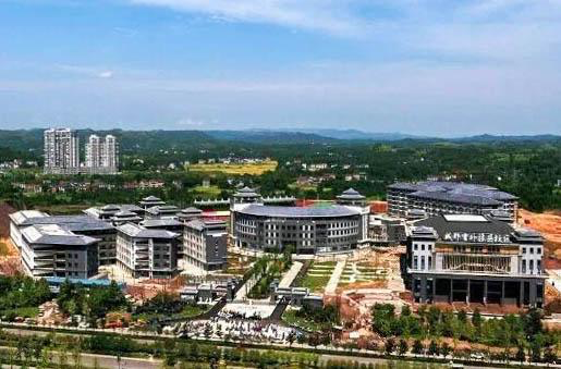 同校同班考出文理科双状元 成都最牛分管校长和班主任去哪儿了？