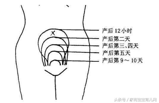 产后子宫复旧不良怎么办？补救措施在这里！