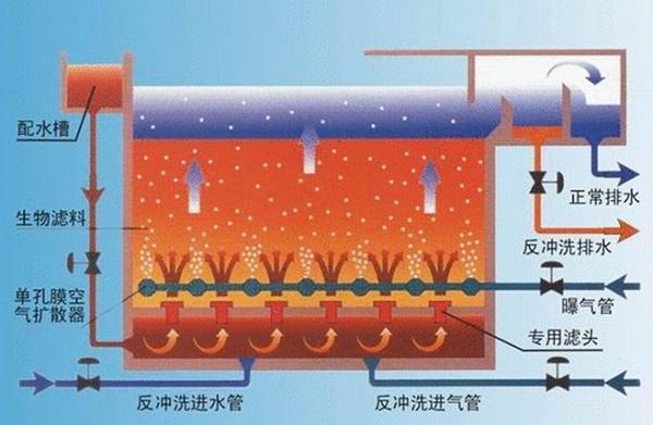 农村污水处理技术讲座（12）