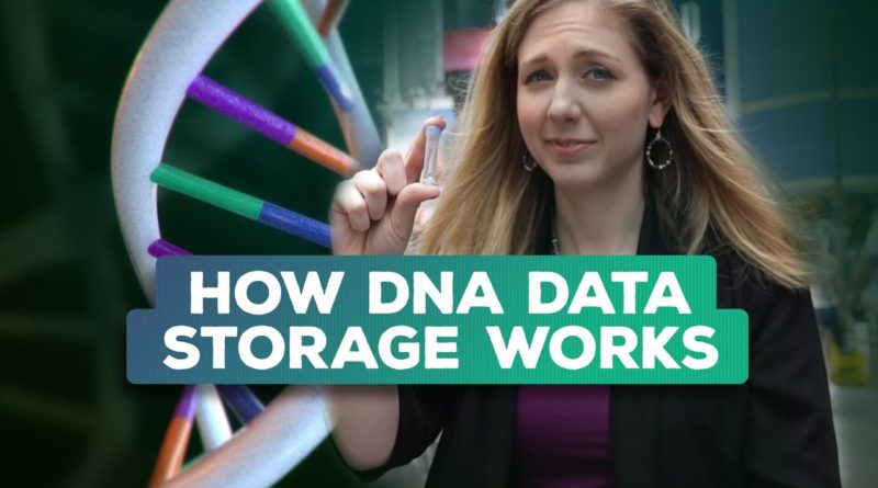 一种存储比特币私钥的新方法 - DNA 存储