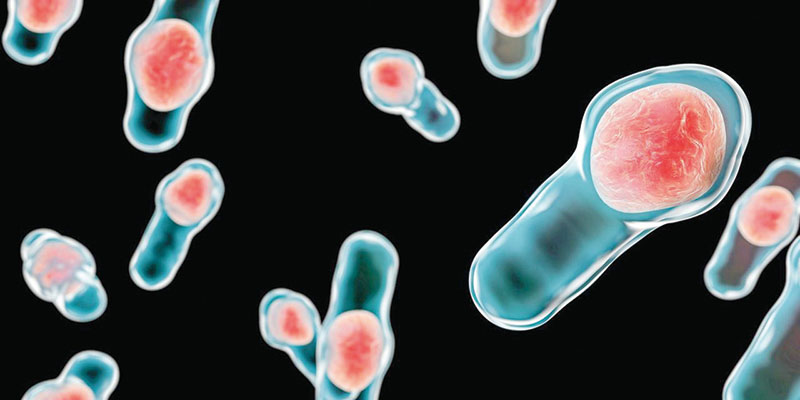 美国华盛顿大学医学院最新研究：糖尿病与“呼吸”有关