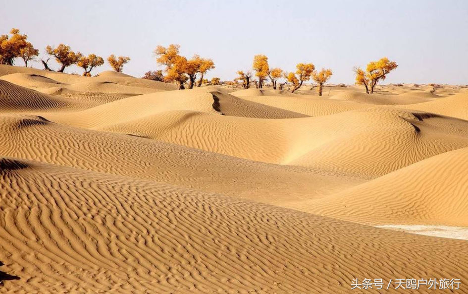 什么的沙漠表示颜色的词语(沙漠的秋天是什么样的 )|仙剑之家