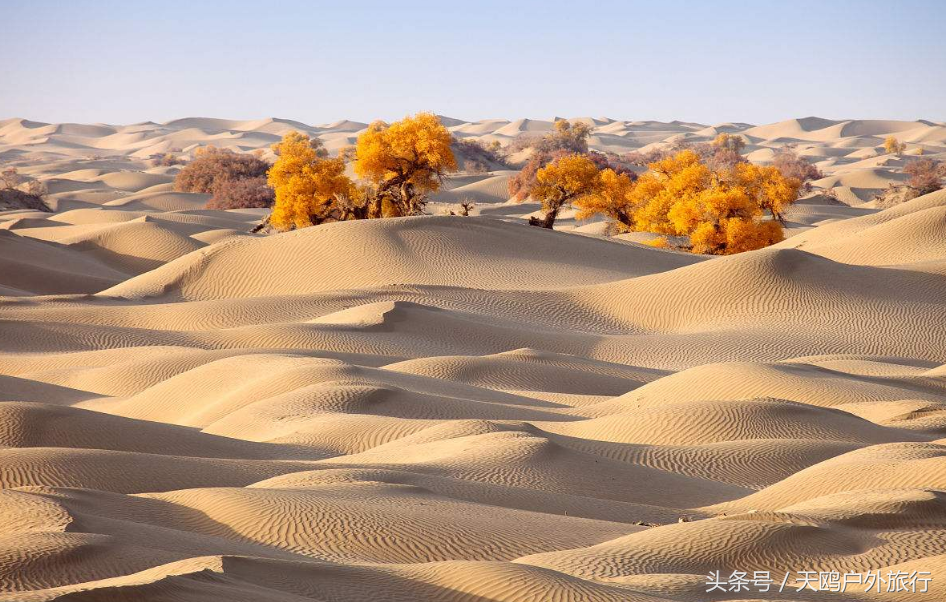 什么的沙漠表示颜色的词语(沙漠的秋天是什么样的 )|仙剑之家