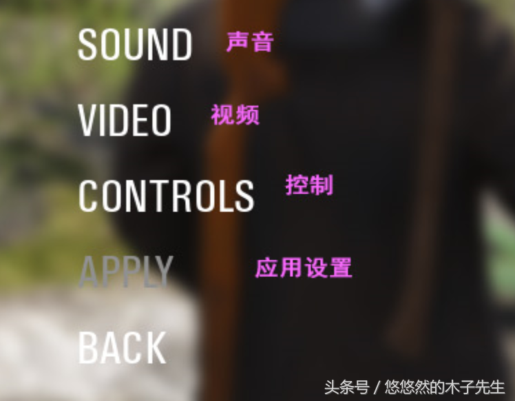 「人气拉粑粑游戏」人渣「SCUM」英文设置翻译（中文翻译高清图）