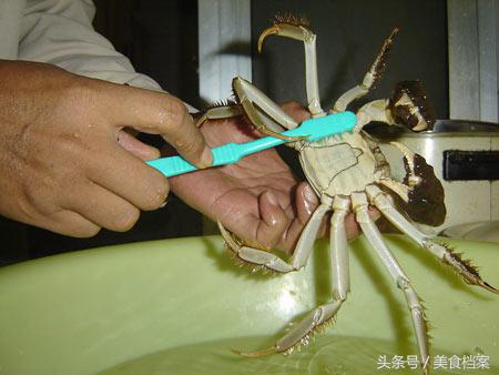 大闸蟹怎么洗（分享螃蟹的清洗技巧和方法）