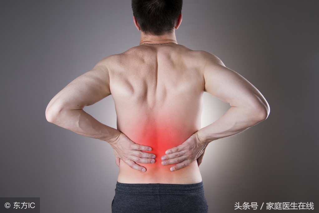 肾虚如何科学调理与日常养护方法