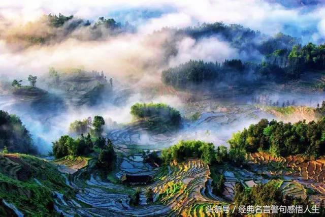言多必失，聪明人四不说
