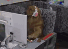 挂科小心，补考不过就悬了！大学生“增负”出细则……