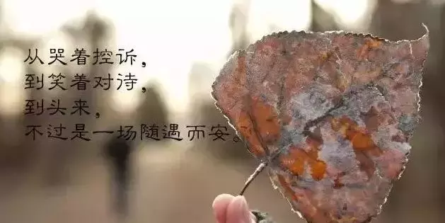 适合发朋友圈人生哲理简短感悟句子