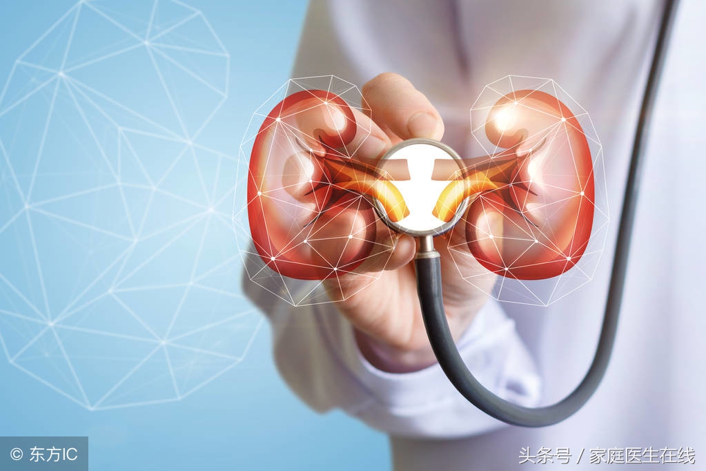 **十大伤肾水果排行榜：哪些水果吃多了会损害肾脏健康？**