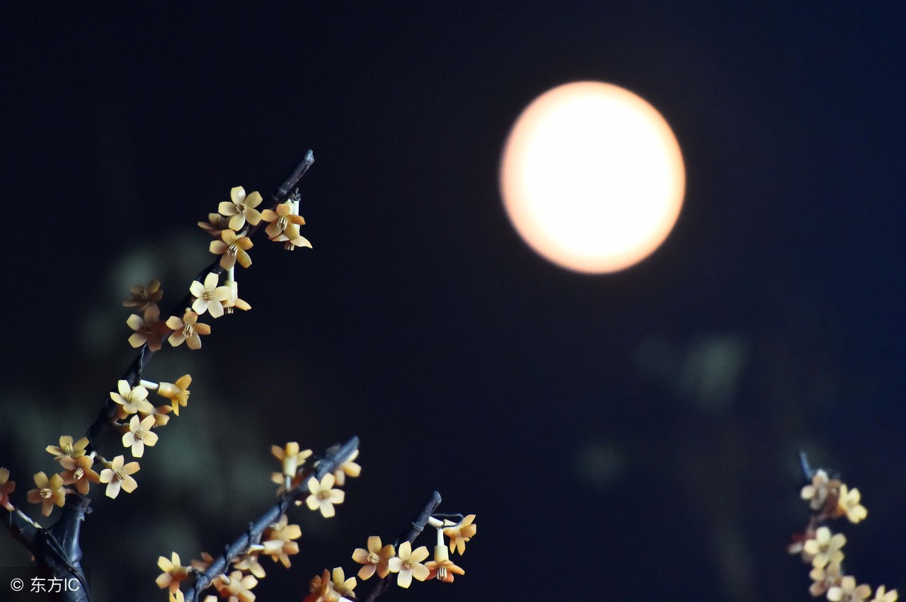 什么是上升星座，太阳星座，月亮星座