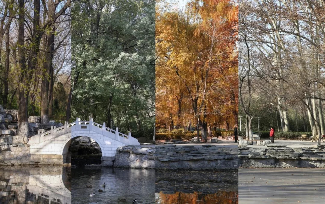 北京八大学院：宇宙中心的文化“老字号”