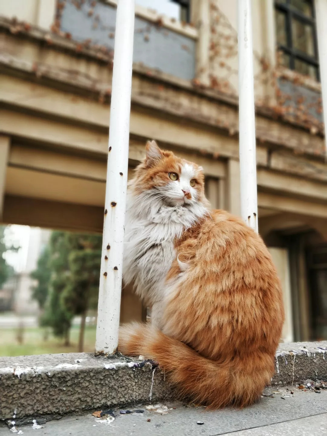 北京八大学院：宇宙中心的文化“老字号”