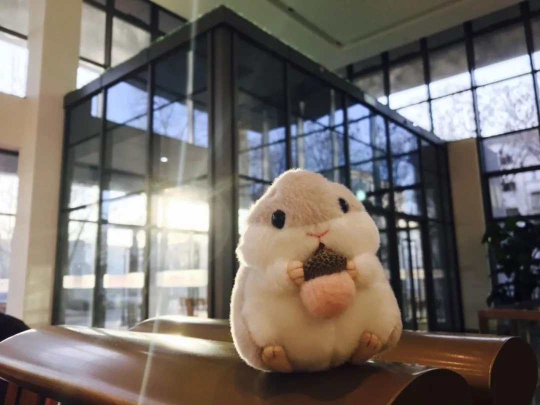 北京八大学院：宇宙中心的文化“老字号”