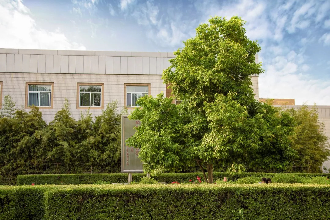 北京八大学院：宇宙中心的文化“老字号”