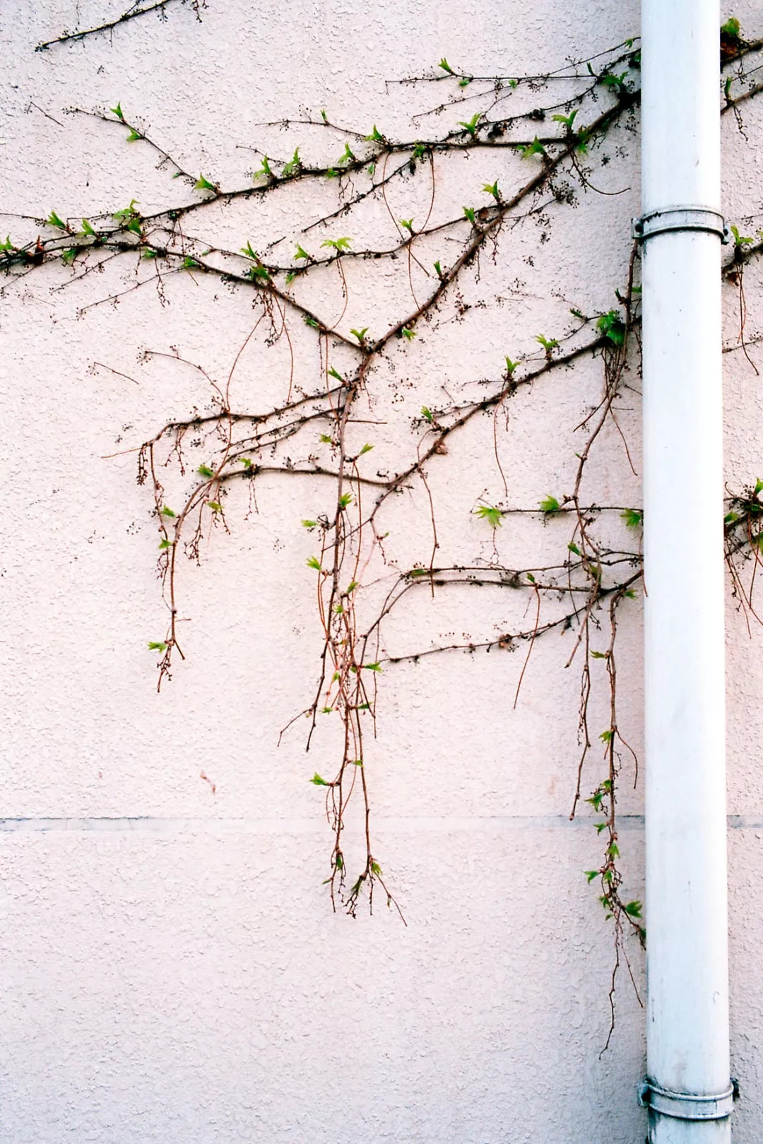 北京八大学院：宇宙中心的文化“老字号”