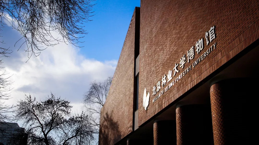 北京八大学院：宇宙中心的文化“老字号”