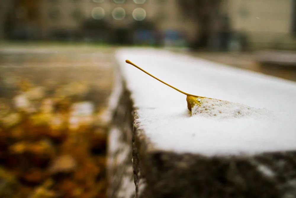 北京八大学院：宇宙中心的文化“老字号”