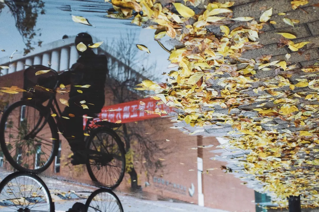 北京八大学院：宇宙中心的文化“老字号”