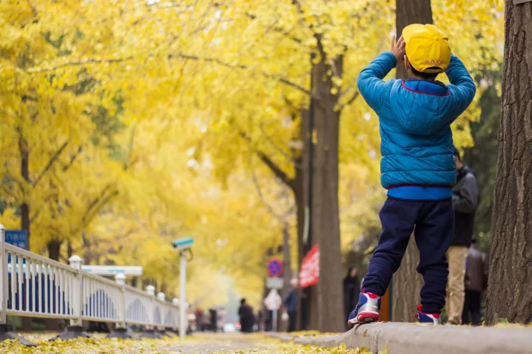北京八大学院：宇宙中心的文化“老字号”