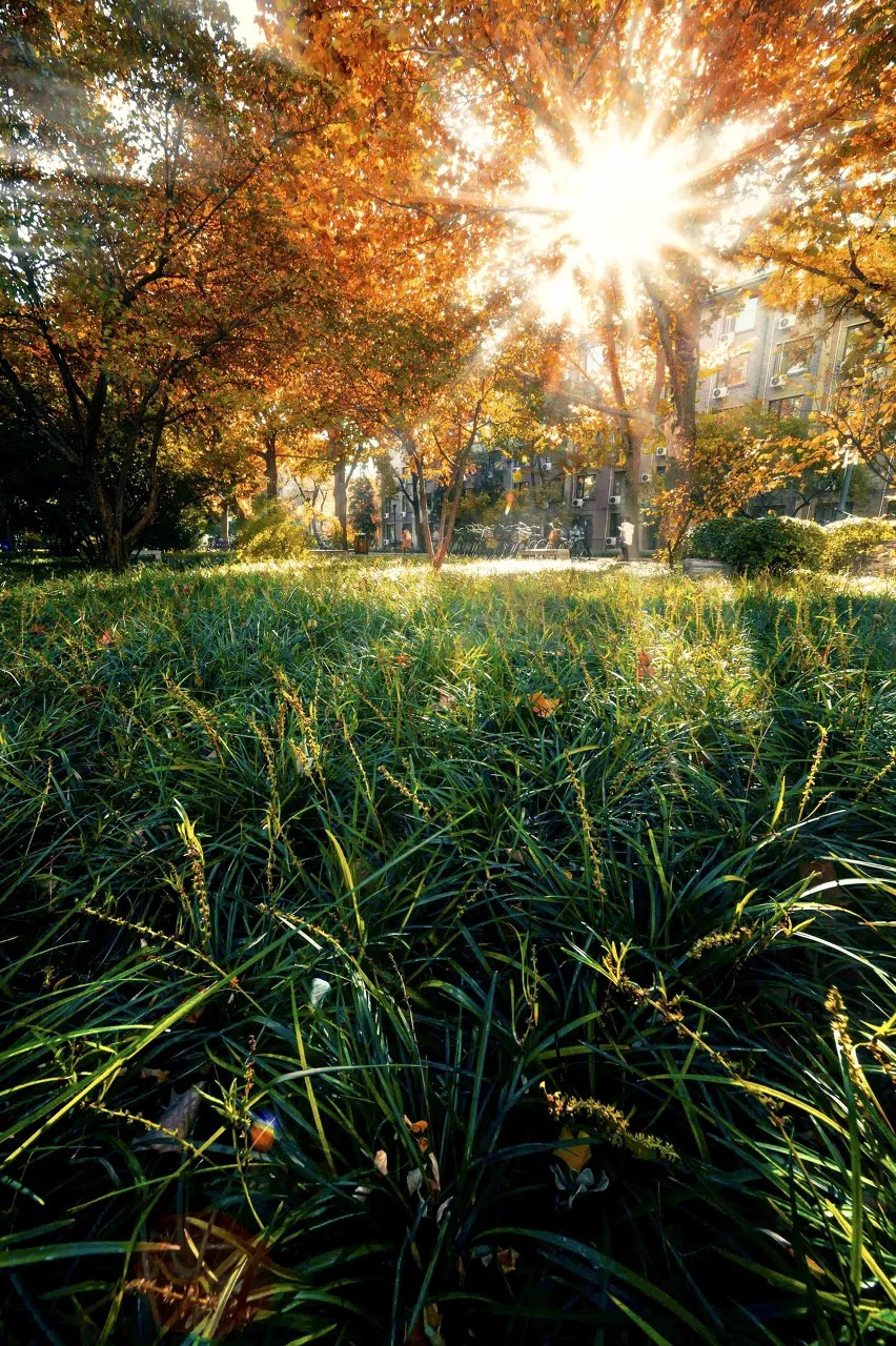 北京八大学院：宇宙中心的文化“老字号”