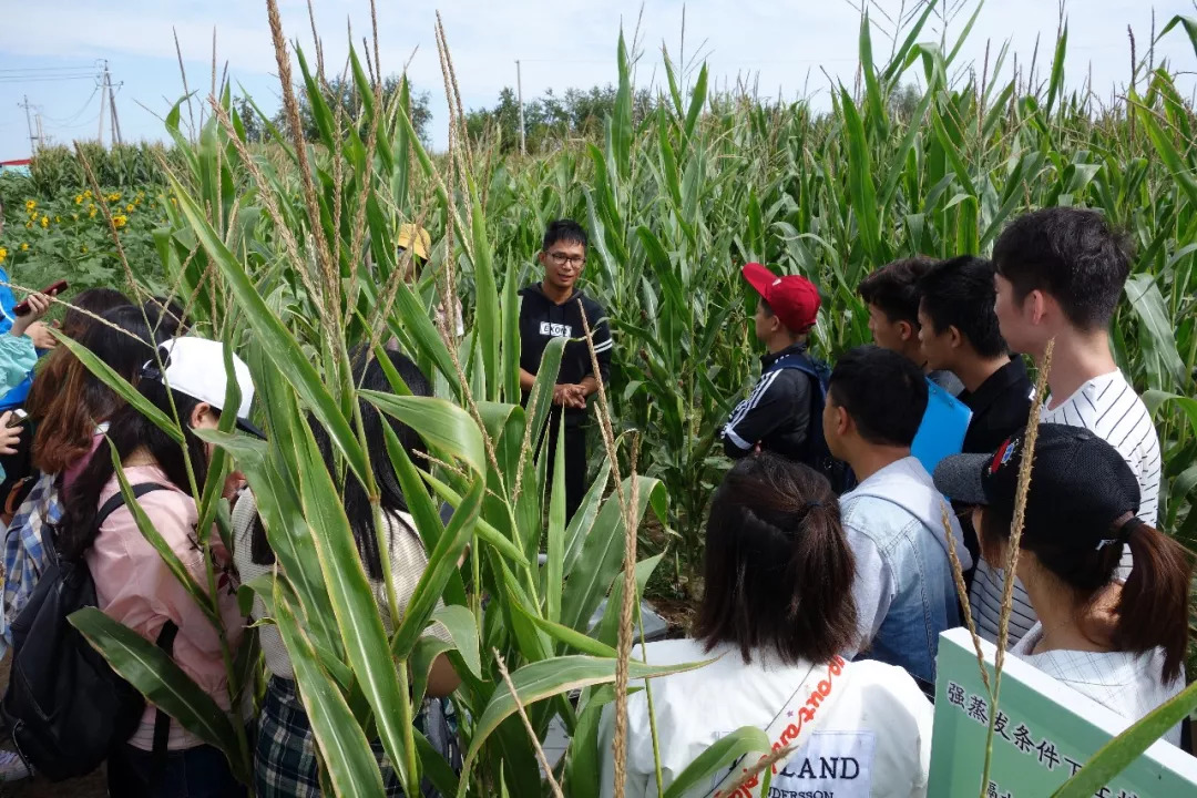 北京八大学院：宇宙中心的文化“老字号”