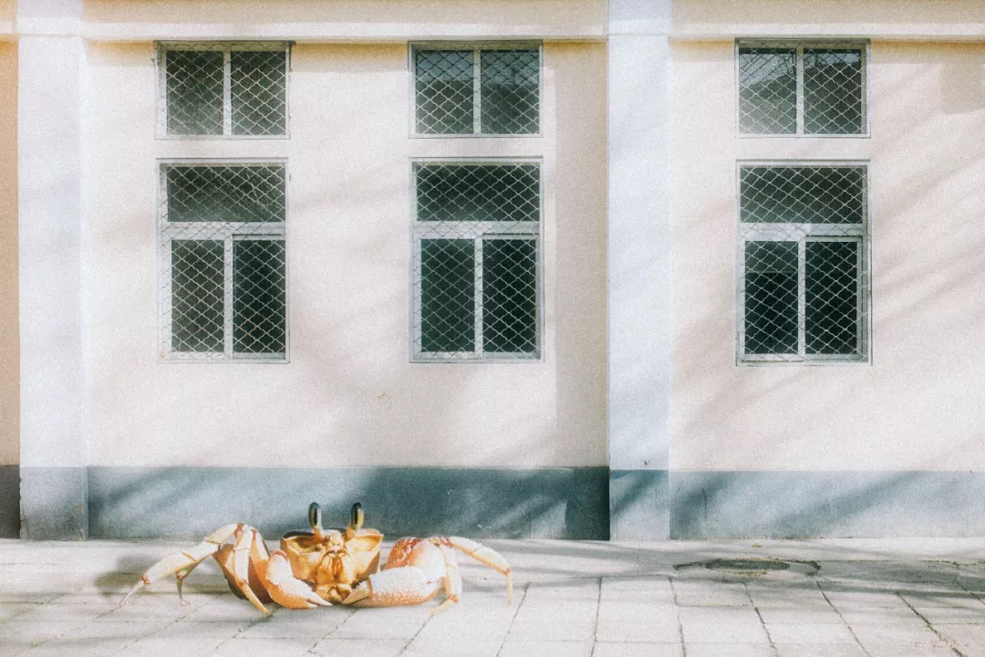 北京八大学院：宇宙中心的文化“老字号”