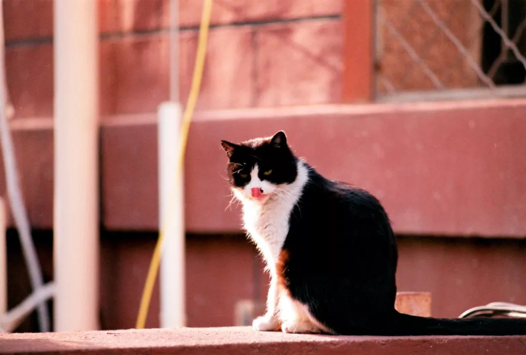 北京八大学院：宇宙中心的文化“老字号”