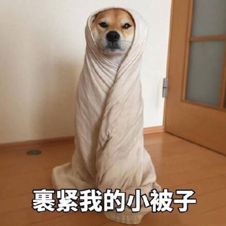 你结婚时，打算用哪辆当婚车？最后一款你也买得起！