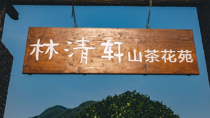 两周获客80万，林清轩震动阿里高层，创始人道出新零……