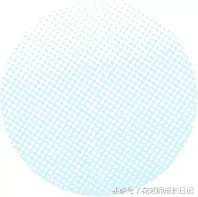 学好这几点，你也可以成为玫瑰养护大神！