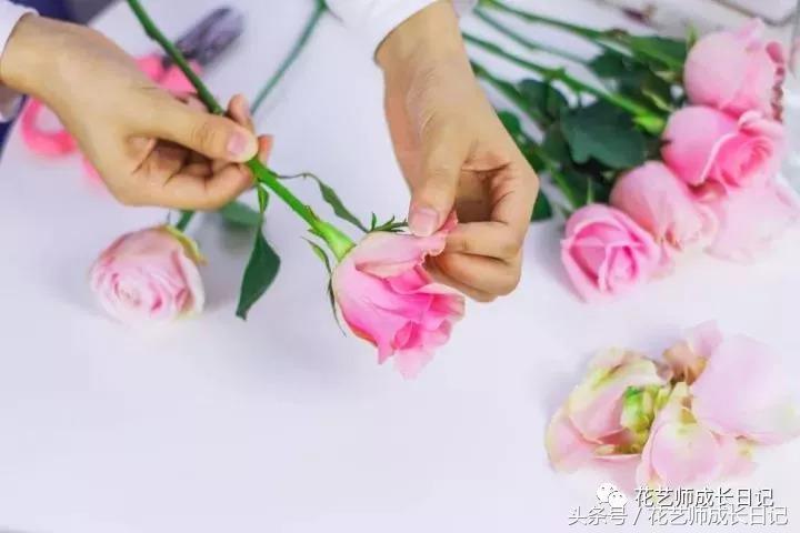学好这几点，你也可以成为玫瑰养护大神！