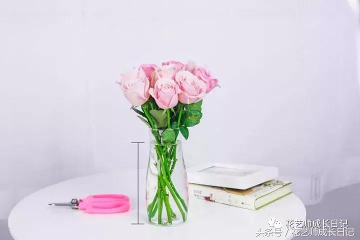 学好这几点，你也可以成为玫瑰养护大神！