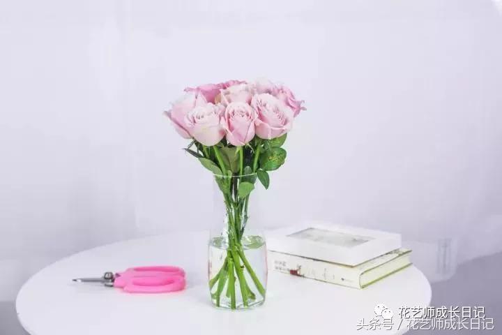 学好这几点，你也可以成为玫瑰养护大神！