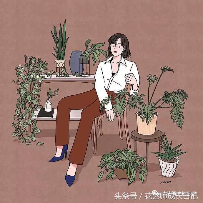 学好这几点，你也可以成为玫瑰养护大神！