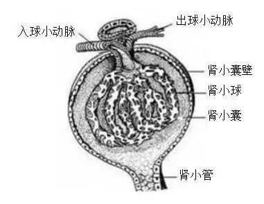 教资考试学科试卷结构及题型分析，附例题！内容较多建议收藏