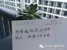 再见，富春！你好，滨文！