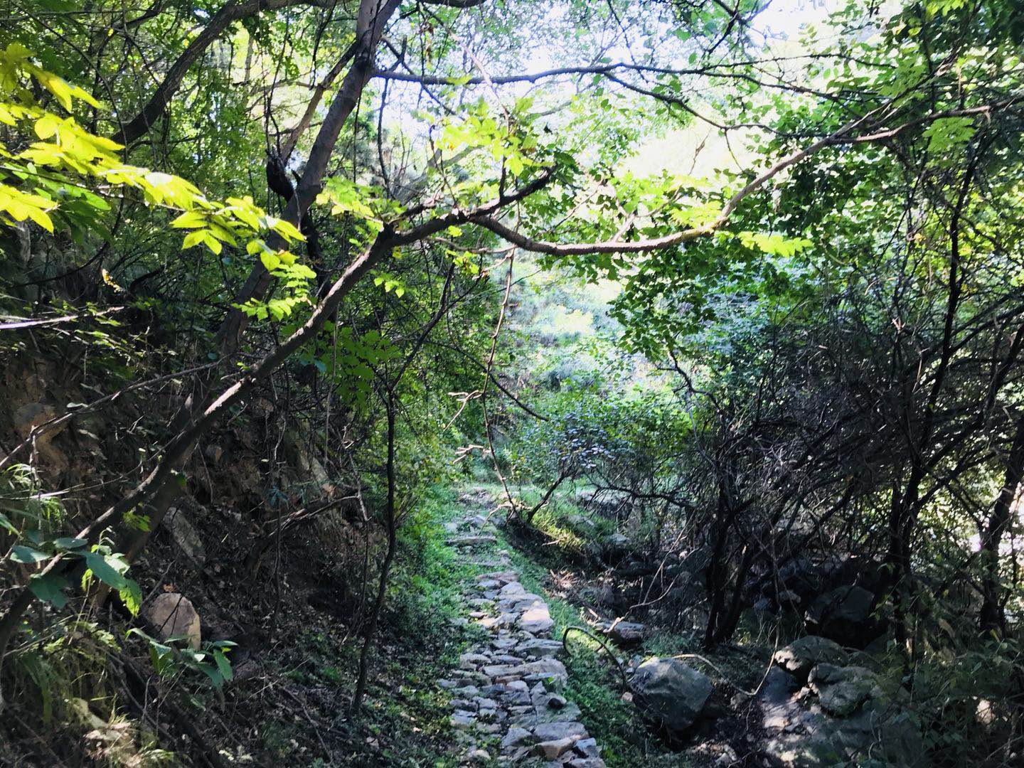 郑州4月踏青3个免费好去处：有山有水有绿树，适合一日游