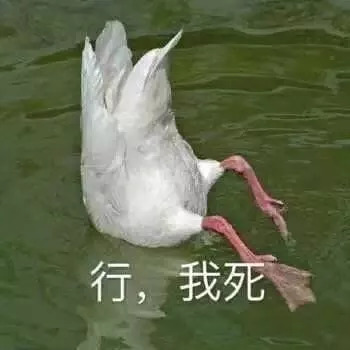 賣竹鼠是什么梗,