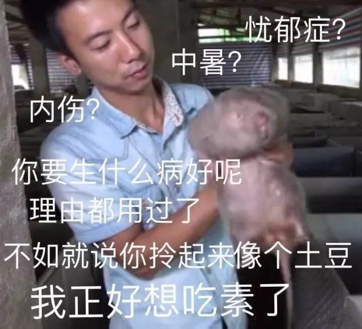 賣竹鼠是什么梗,