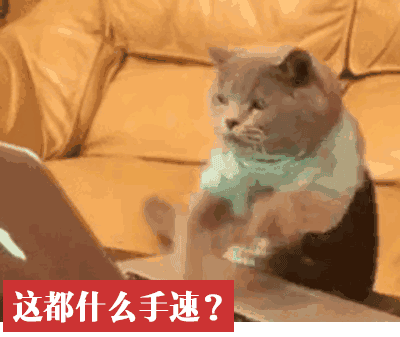 賣竹鼠是什么梗,